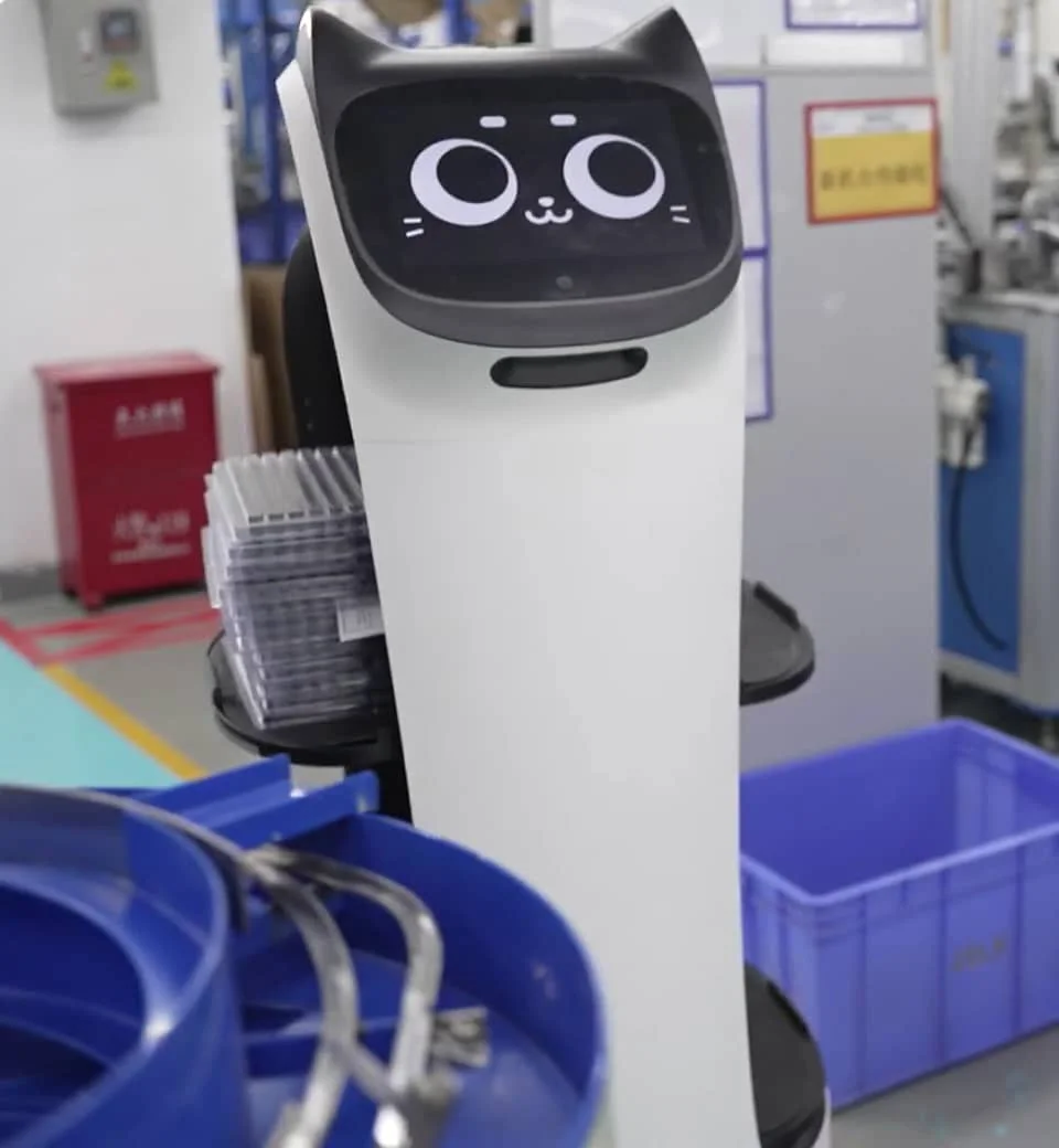 BellaBot