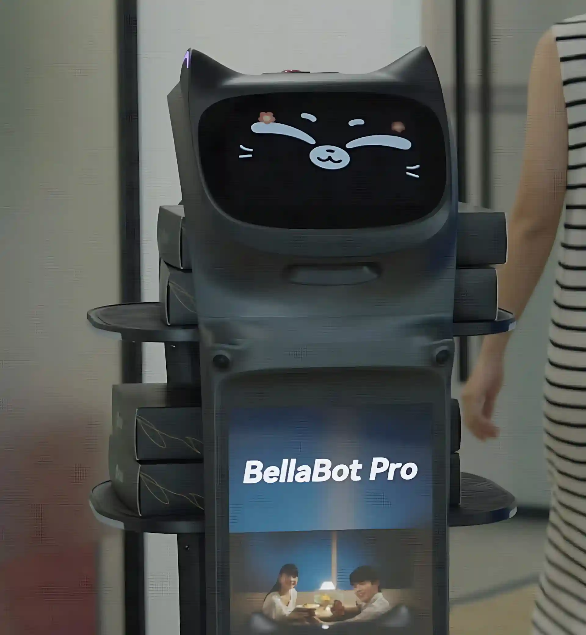 BellaBot
