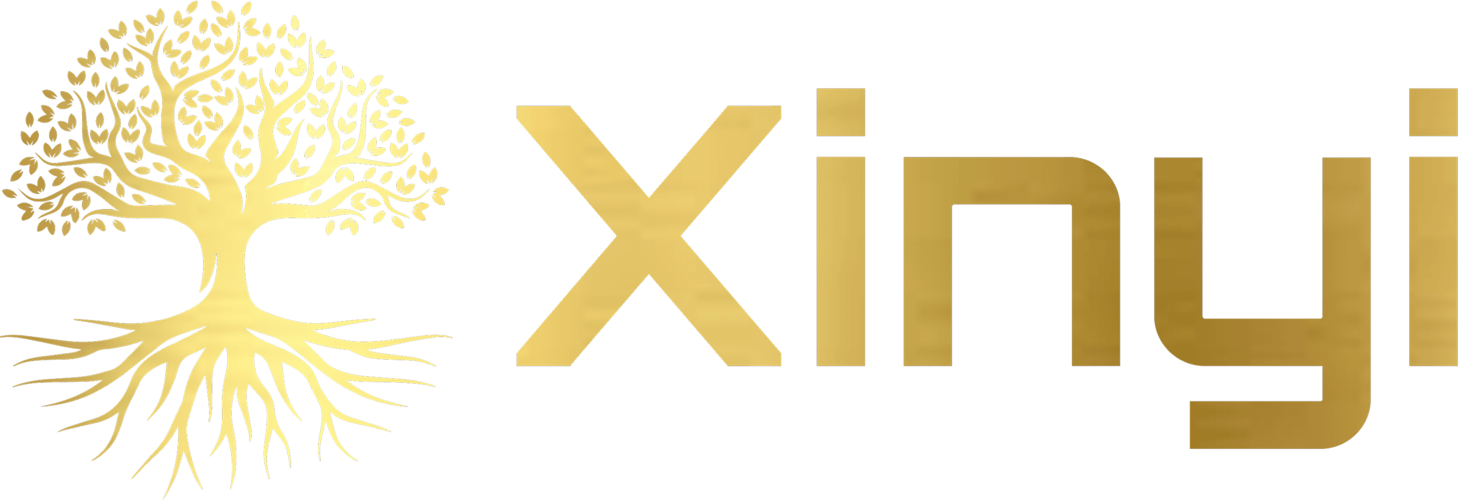 Xinyi Logo